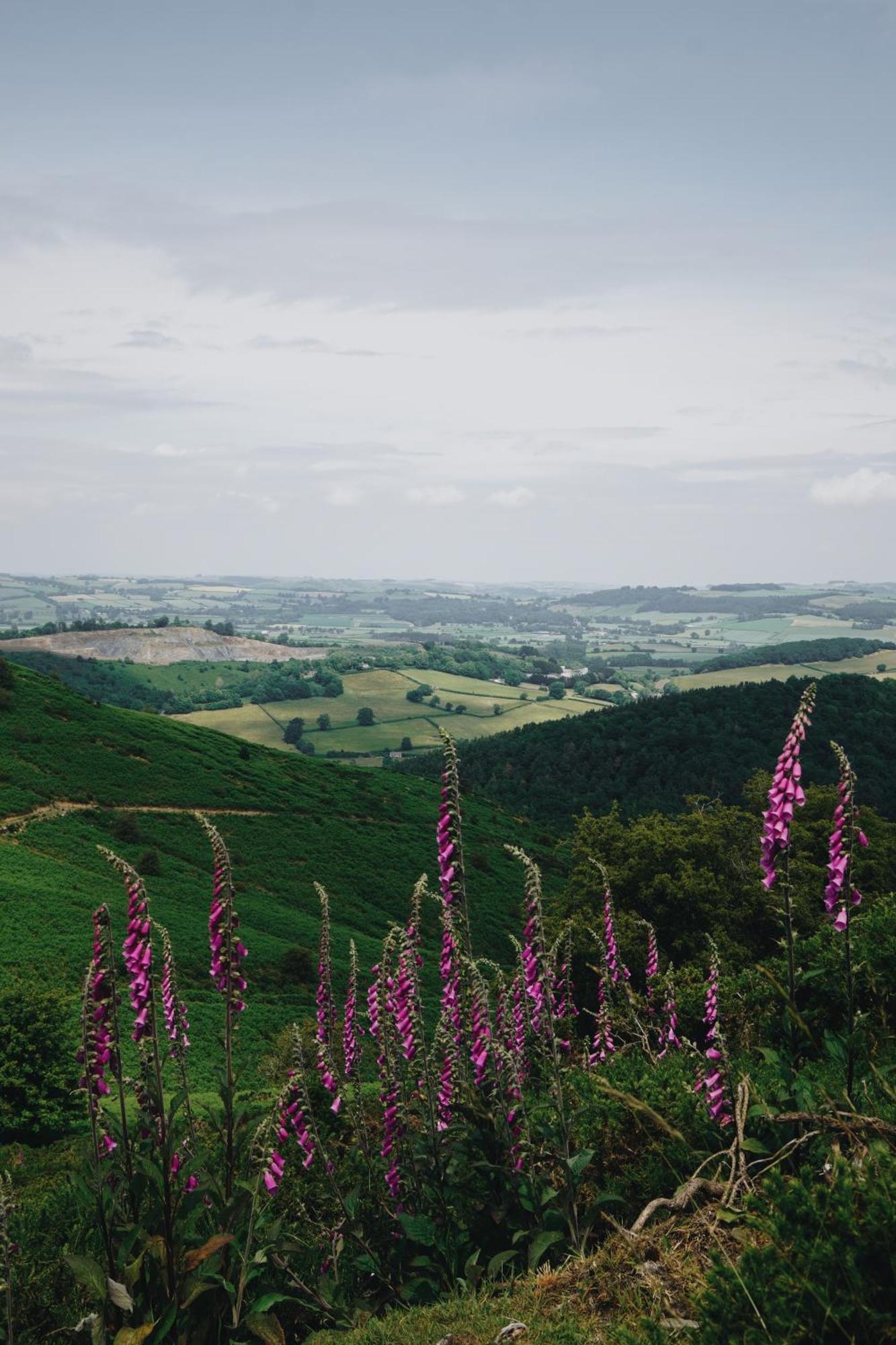 Two Unique Cabins Wrapped In Beautiful Welsh Scenery Presteigne Екстер'єр фото