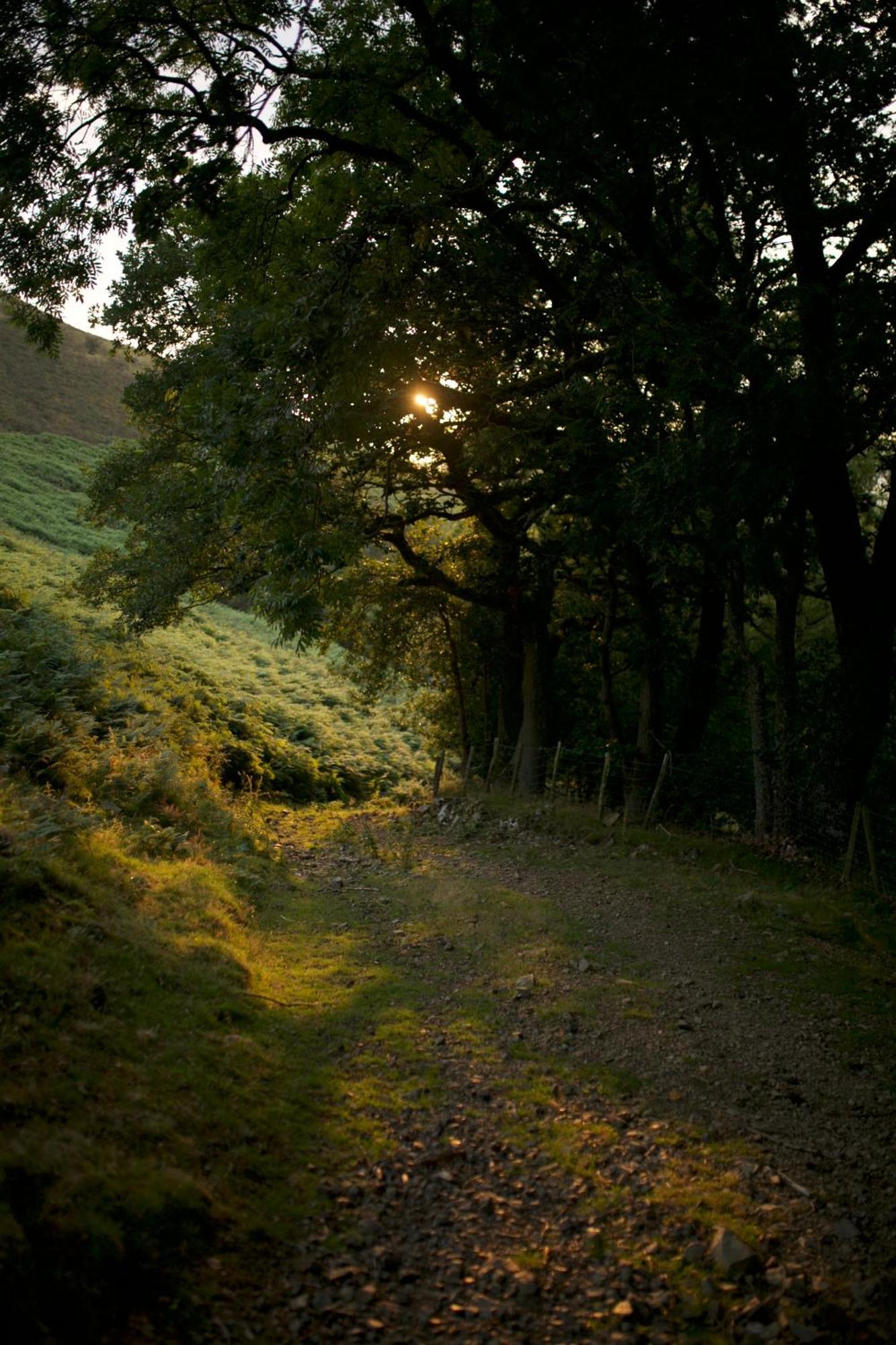 Two Unique Cabins Wrapped In Beautiful Welsh Scenery Presteigne Екстер'єр фото