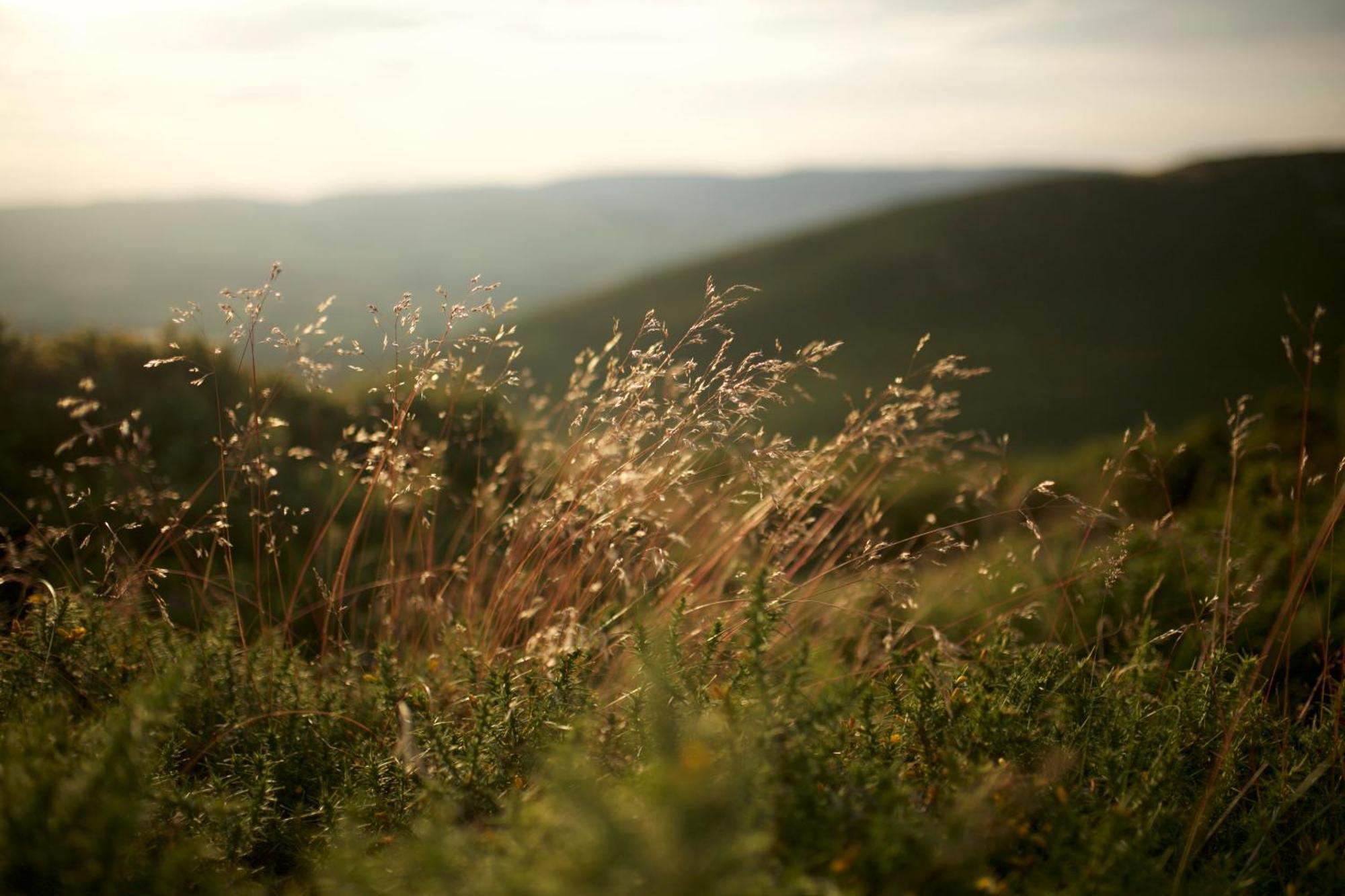 Two Unique Cabins Wrapped In Beautiful Welsh Scenery Presteigne Екстер'єр фото