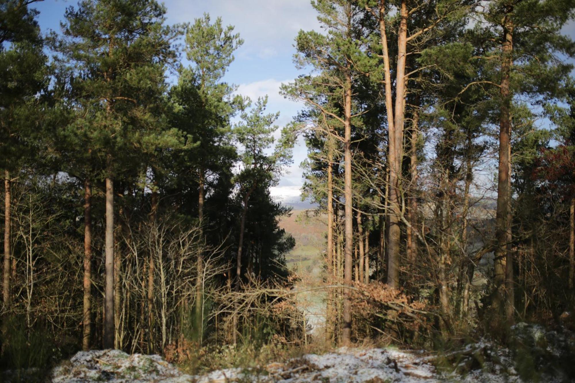Two Unique Cabins Wrapped In Beautiful Welsh Scenery Presteigne Екстер'єр фото